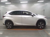 Lexus NX лот № 30504 оценка 4  с аукциона в Японии 2