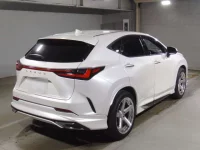 Lexus NX лот № 10079 оценка 4.5  с аукциона в Японии 1