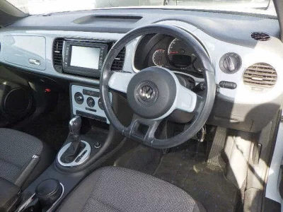 Volkswagen THE BEETLE