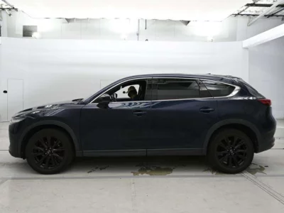 Mazda CX-8  с аукциона в Японии
