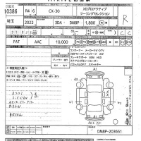 Mazda CX-30 лот № 10386 оценка R  с аукциона в Японии 10