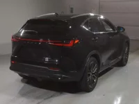 Lexus NX лот № 10017 оценка 5  с аукциона в Японии 1