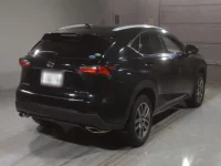 Lexus NX лот № 10002 оценка 4  с аукциона в Японии 1
