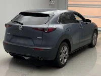 Mazda CX-30 лот № 40016 оценка 4  с аукциона в Японии 1