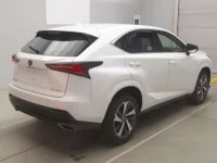 Lexus NX лот № 71003 оценка 5  с аукциона в Японии 1
