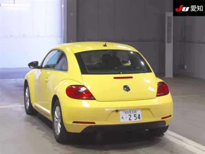 Volkswagen THE BEETLE
