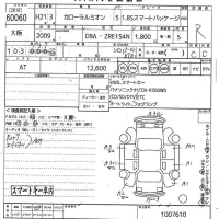 Toyota COROLLA RUMION лот № 60060 оценка R  с аукциона в Японии 10