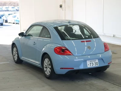 Volkswagen THE BEETLE