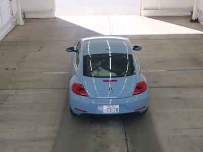 Volkswagen THE BEETLE