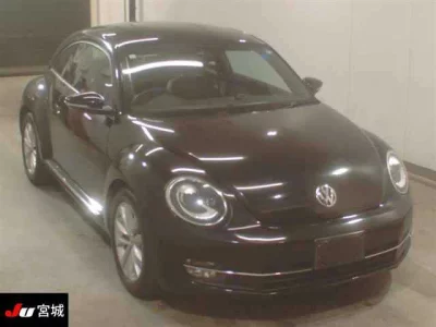 Volkswagen THE BEETLE