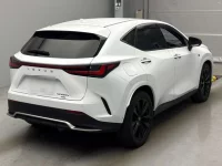 Lexus NX лот № 10041 оценка 3.5  с аукциона в Японии 1