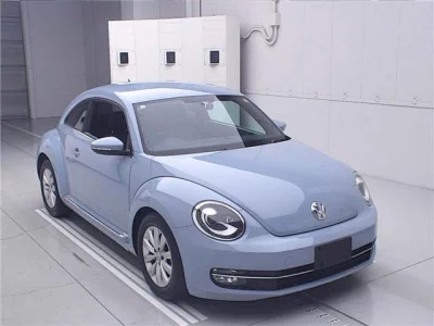 Volkswagen THE BEETLE