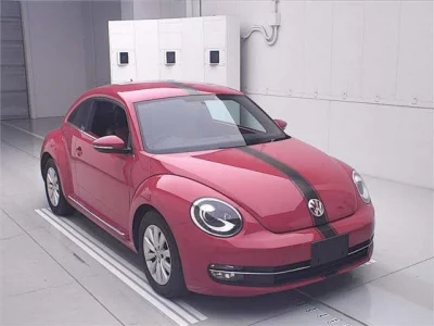 Volkswagen THE BEETLE