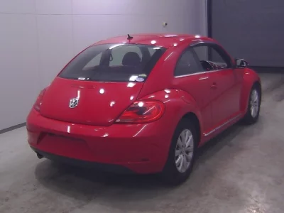 Volkswagen BEETLE