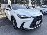 Lexus NX лот № 34543 оценка 5  с аукциона в Японии 5