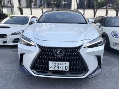 Lexus NX  с аукциона в Японии