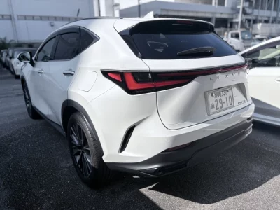 Lexus NX250