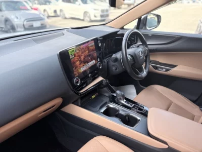 Lexus NX250