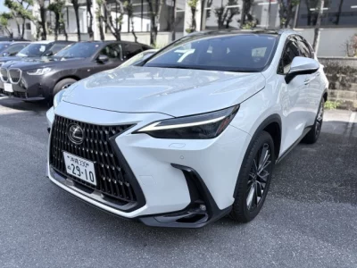 Lexus NX250
