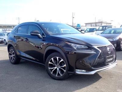 Lexus NX300