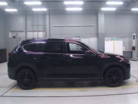 Mazda CX-8 лот № 30076 оценка 3.5  с аукциона в Японии 2