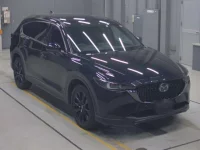 Mazda CX-8 лот № 30076 оценка 3.5  с аукциона в Японии 4