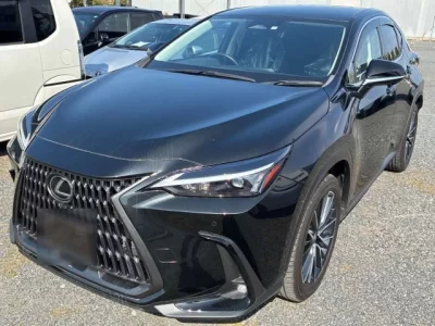 Lexus NX  с аукциона в Японии