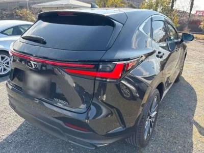 Lexus NX  с аукциона в Японии