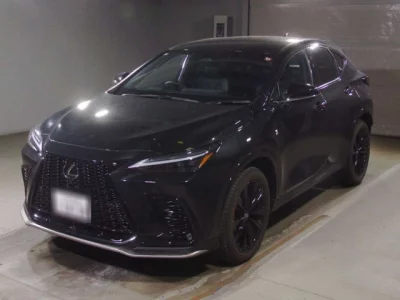 Lexus NX  с аукциона в Японии