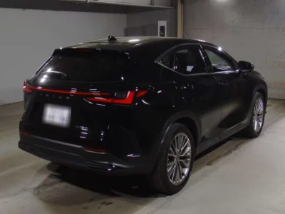 Lexus NX  с аукциона в Японии