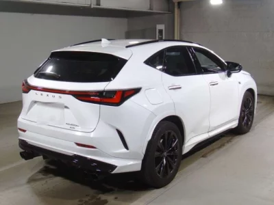 Lexus NX  с аукциона в Японии