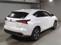 Lexus NX лот № 10061 оценка 3.5  с аукциона в Японии 1