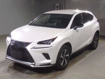 Lexus NX  с аукциона в Японии