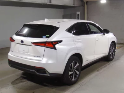Lexus NX  с аукциона в Японии