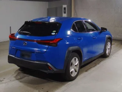 Lexus UX  с аукциона в Японии