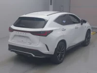 Lexus NX лот № 10009 оценка 5  с аукциона в Японии 1