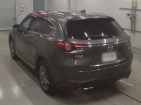 Mazda CX-8 лот № 30252 оценка 4.5  с аукциона в Японии 5
