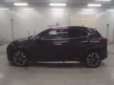 Lexus UX  с аукциона в Японии
