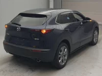 Mazda CX-30 лот № 30010 оценка 4  с аукциона в Японии 1