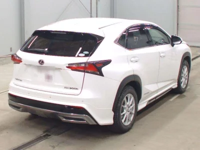 Lexus NX  с аукциона в Японии