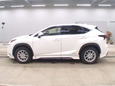 Lexus NX  с аукциона в Японии