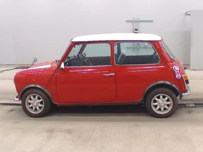 Rover MINI