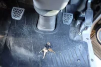 Hino DUTRO лот № 1088 оценка 3  с аукциона в Японии 8