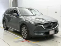 Mazda CX-8 лот № 30144 оценка 3.5  с аукциона в Японии 4