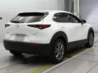 Mazda CX-30 лот № 33229 оценка 5  с аукциона в Японии 1