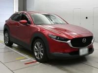 Mazda CX-30 лот № 36344 оценка 4  с аукциона в Японии 4