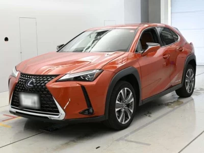 Lexus UX  с аукциона в Японии