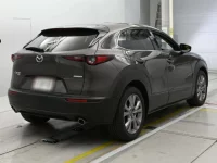Mazda CX-30 лот № 33417 оценка 4  с аукциона в Японии 1