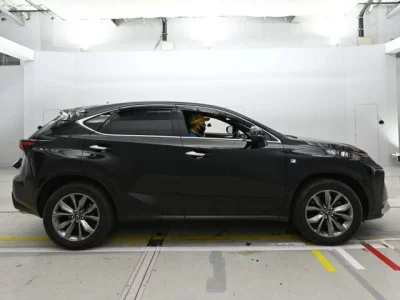 Lexus NX  с аукциона в Японии