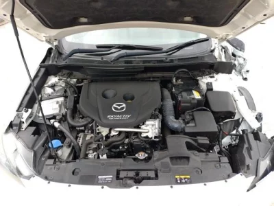 catalog-car-8
